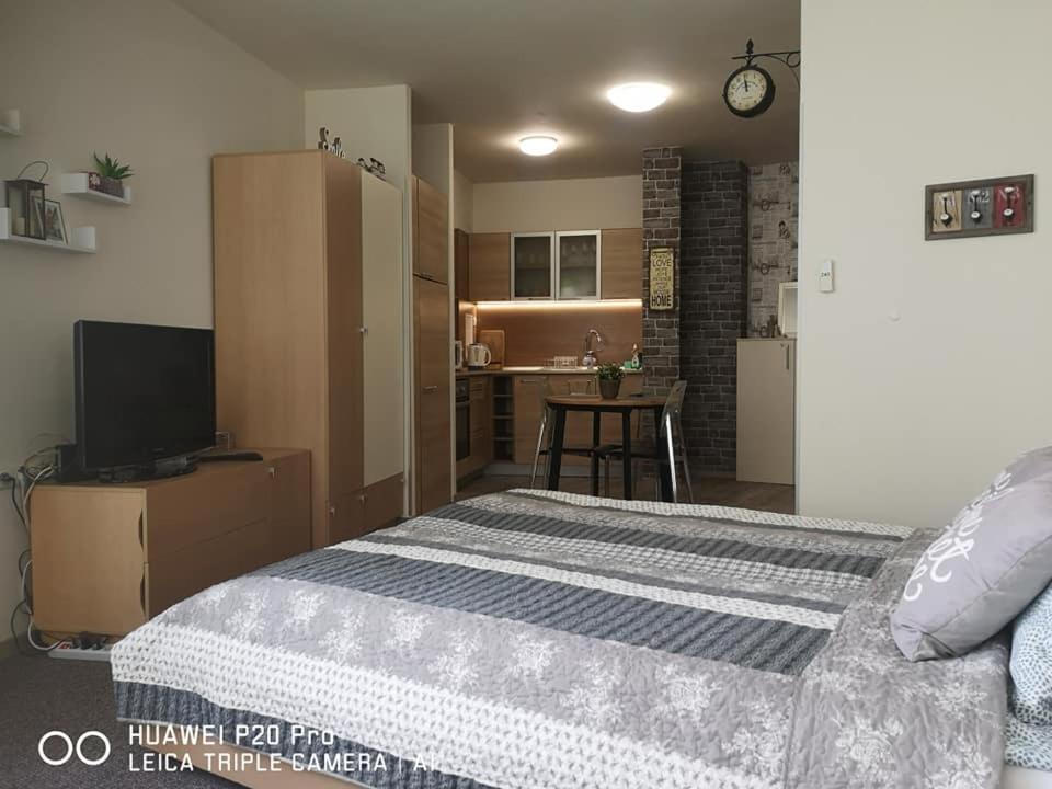 Apartment Seagarden 19 瓦爾納 外观 照片